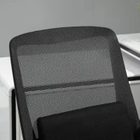 Vinsetto Office Chair 2-Point Massage Executive Ergonomic USB Power Mesh Design 360° Swivel with Lumbar Support, Black(m-10)