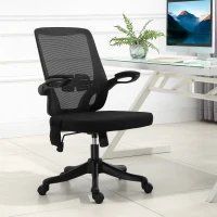 Vinsetto Office Chair 2-Point Massage Executive Ergonomic USB Power Mesh Design 360° Swivel with Lumbar Support, Black(m-15)
