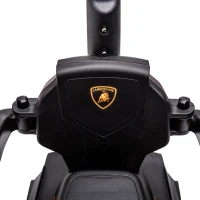 AIYAPLAY 2 em 1 Carro Andador para Crianças 12-36 Meses Lamborghini Essenza SCV2 Carro Andador com Buzina Guiador e Grade de Segurança Removível 86,5x40x89,5cm Verde e Preto(m-8)