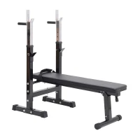 HOMCOM Multifunktion Hantelbank Kraftstation Trainingsbank mit Dip Barren 5-Fach Höhenverstellbar Dip-Station, Fitnessstation bis 150 kg einstellbar faltbar Stahl Schwarz 123,6 x56 x111cm(m-11)