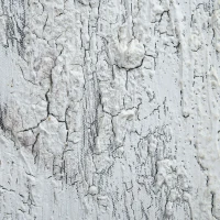 HOMCOM muurschilderingen, set van 2 stuks, wanddecoratie op canvas 'olifant' 120 x 120 x 2,8 cm(m-9)