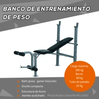 HOMCOM Banco de Musculación Banco de Pesas Maquina de Fitness Entrenar Musculos 165x68x114cm con Respaldo Regulable Espuma(m-4)