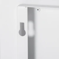 HOMCOM Ethanol-Kamin Bio-Ethanol-Brenner Feuerschale 1L 2,5 Std. Brenndauer 20m² Wandkamin mit Feuerlöschdeckel aus Edelstahl Metall Weiß 48 x 18 x 48 cm(m-6)