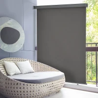 Outsunny Toldo para Balcón 160x250 cm Colocación en Techo o Pared Función Vertical y Horizontal con Tirador Color Gris(m-10)