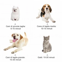 PawHut Soffiatore per Cani con Velocità e Temperatura Regolabili, 3 Beccucci Inclusi, Nero(m-6)