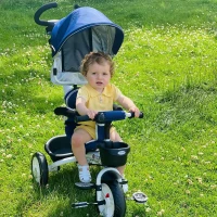 Homcom Triciclo Passeggino per Bambini con Maniglione Tetto Parapioggia Regolabile e Cestino, Blu(m-12)