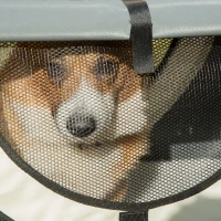 PawHut hondenbox inklapbare hondentransportbox dier 2 kleuren 5 maten(m-9)