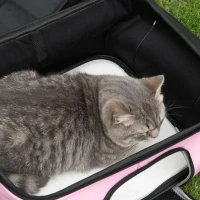 PawHut Geanta de transport pentru pisici si caini dotata cu 2 usi cu fermoar, sac cu buzunare si perna, 50x35x36cm, rosu(m-7)