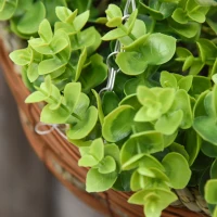 Outsunny 2 Künstliche Pflanzen Hängepflanze Clematis im Topf mit Haken Deko PE Rosa+Grün 30 x 30 x 32 cm(m-7)