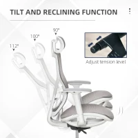 Vinsetto Ergonomic Office Chair Mesh Grey(m-6)