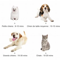 PawHut Séchoir pour animaux pulseur toilettage portable température réglable avec poignée 3 embouts - 2400W - noir(m-6)