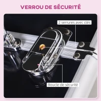 HOMCOM Mallette à maquillage - coffre à cosmétiques - rangement produits de beauté - dim. 30L x 18l x 22H cm - poignée serrure alu. acrylique rose(m-5)