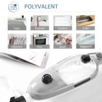 HOMCOM Balai vapeur nettoyeur vapeur à main puissance 1300 W 450 ml adapté à toutes les surfaces et les tapis 11 accessoires inclus 99,9% des bactéries et germes tués sans produit chimique blanc gris(m-6)