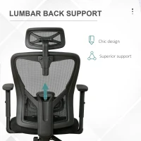 Vinsetto Scaun de birou ergonomic, Inaltime reglabila, Tetiera, 66x61x100-109.5cm, Negru(m-8)