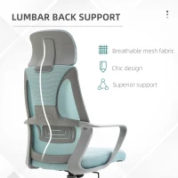 Vinsetto Ergonomic Office Chair Mesh Back Blue(m-6)