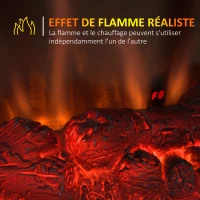 HOMCOM Cheminée Electrique poêle Style néo-rétro 2 Portes télécommande minuterie 1000/2000 W LED luminosité réglable Noir(m-8)