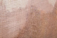 Dipinto Su Tela Browny cm 80X3,7X100(m-3)