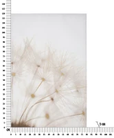 Stampa Dipinta Tin cm 80X3X120(m-6)