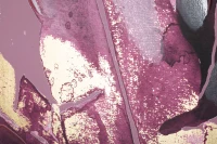 Stampa Dipinta Dark Leaves cm 80X3X120(m-3)