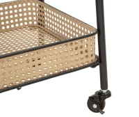Carrello Fuji cm 60X30X80(m-6)