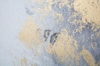 Stampa Dipinta Gold Dancer cm 80X3X120(m-4)