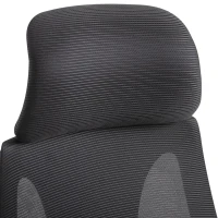 Vinsetto Ergonomic Mesh Office Chair Black(m-9)