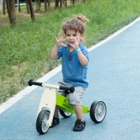 AIYAPLAY Bicicleta sem Pedais de Madeira 2 em 1 Triciclo Infantil com Assento Ajustável de 22-26cm  60x38x38cm Verde(m-2)