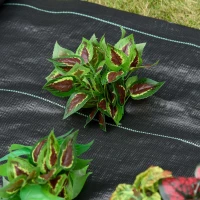 Outsunny 1x50m Gardener Premium Weed Barrier Landscape Fabric Durable & Heavy-Duty Weed Block Gardening Mat, Easy Setup & Superior Weed Control Convenient Design(m-12)