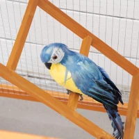 PawHut Cotet Exterior pentru Pasari – Lemn cu Tava(m-9)