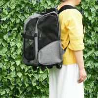 Pawhut Hondentransporttas en Huisdier Rugzak, 2-in-1 Ontwerp, Uitschuifbare Handgreep, Zijzakken, Grijs, 42 x 25 x 55 cm(m-10)