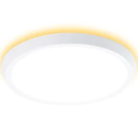 Lampa sufitowa HOMCOM Smart, LED, sterowanie aplikacyjne i głosowe, pilot zdalnego sterowania, timer, wiele kolorów, Ø30 x 3,2 cm(m-1)