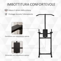 HOMCOM Power Tower Palestra Multifunzione in Acciaio con Impugnature Imbottite, 110x97x227cm - Nero(m-5)