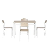 HOMCOM Set Masă de Prânz din 5 Piese cu 1 Masă Dreptunghiulară și 4 Scaune, 100x63x76,5 cm, Gri și Alb(m-7)