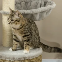 PawHut kattenboom met kattengrot, hangmat en 3 krabpalen 60 cm x 40 cm x 115,5 cm lichtgrijs(m-9)