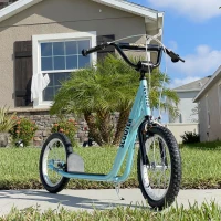 HOMCOM Teen Kids Stunt Scooter Children Kick Scooter Adjustable Handlebar 2 Brakes Ride On 16 Inch(m-11)