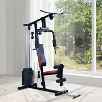 Homcom Banca pentru Antrenament Acasa Sala Multifunctiune Profesionala Abdomen Picioare Pectoral in Otel Negru 125x106x205cm(m-2)