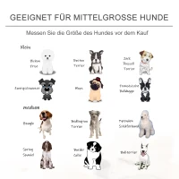 PawHut Sofa dla zwierząt domowych Sofa dla psa koty psy drewno brzozowe nowoczesna jasnoszary(m-7)