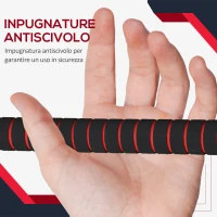HOMCOM Set 2 Manubri Convertibili in Bilanciere, 25kg Totali con 12 Dischi Pesi Acciaio e Plastica Allenamento a Casa(m-6)