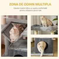 PawHut Ansamblu pentru Pisici, Centru de Activitati pentru Pisici, 48x48x100 cm, Gri(m-5)