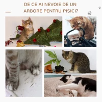 Pawhut Arbore Pisici – Cusca, Perna & Stalpi din Sisal(m-7)