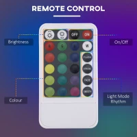 HOMCOM RGB Floor Lamps Dimmable Corner Lamp with Remote Control, LED Modern Mood Lighting, for Living Room, Bedroom, Gaming Room, Study Room, Clear(m-5)