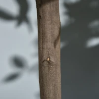 Outsunny Set of 2 90cm/3FT Artificial Bay Laurel Topiary Trees with Pot Fake Indoor Outdoor Greenery Plant Home Decor Green(m-9)