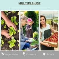 Outsunny Mylar Hydroponic Grow Tent with Adjustable Vents and Floor Tray for Indoor Plant Growing 120 x 90 x 200cm(m-6)