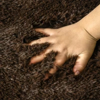 HOMCOM Brown Fluffy Rug, Shaggy Area Rugs Carpet for Living Room, Bedroom, Dining Room(m-8)
