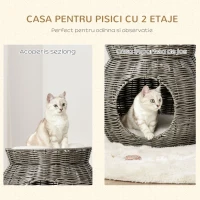 PawHut Cos pentru Pisici din rattan PE cu 2 Niveluri cu Perne de Plus Lavabile, Φ50x43.5cm - Gri Inchis(m-4)