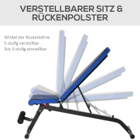 HOMCOM Hantelbank für Ganzkörpertraining Verstellbare Mehrzweck-Hantelbank Trainingsbank zusammenklappbar 110 kg Belastbarkeit Stahl Schwarz+Blau 142 x 46 x 50-132 cm(m-5)