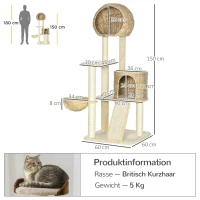PawHut Scratching Post, with Cat House, Multiple Platforms, Hammock, Scratching Mat, Tipping Prevention, Beige, 60 x 60 x 150cm(m-3)