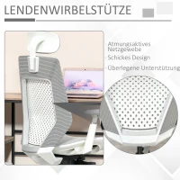 Vinsetto Bürostuhl Drehstuhl mit Kopfstütze Winkel einstellbar Hellgrau Schaumstoff Nylon Polyester 65 x 68 x 117-125 cm(m-5)