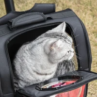 PawHut Rucsac pliabil cu hublou Pentru Animale Mici 38 x 24 x 38 cm, Negru/Rosu(m-10)