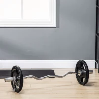 SPORTNOW Weight Plate, Set of 2, 10 kg per Plate, Three Handles, Floor-Friendly Rubber Coating, Metal(m-6)